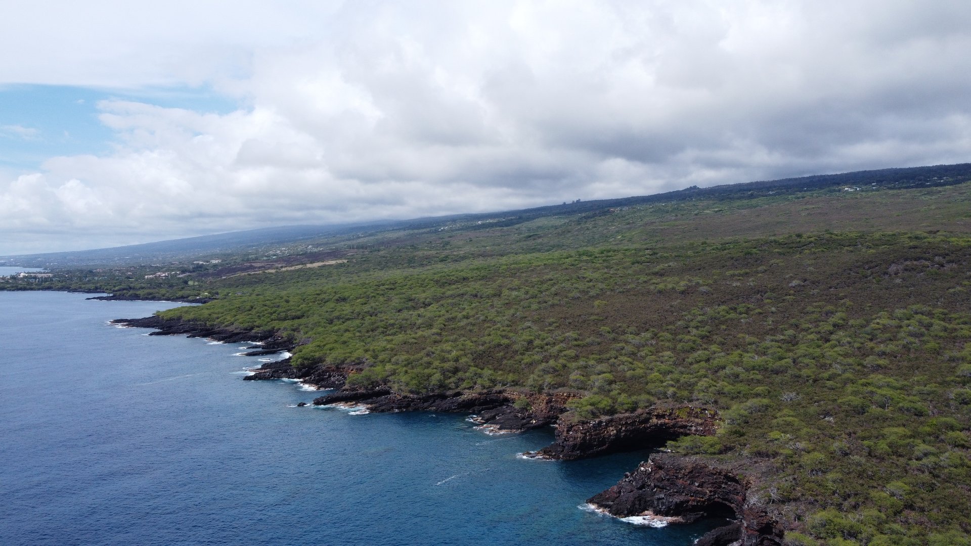 Big Island coastline from above