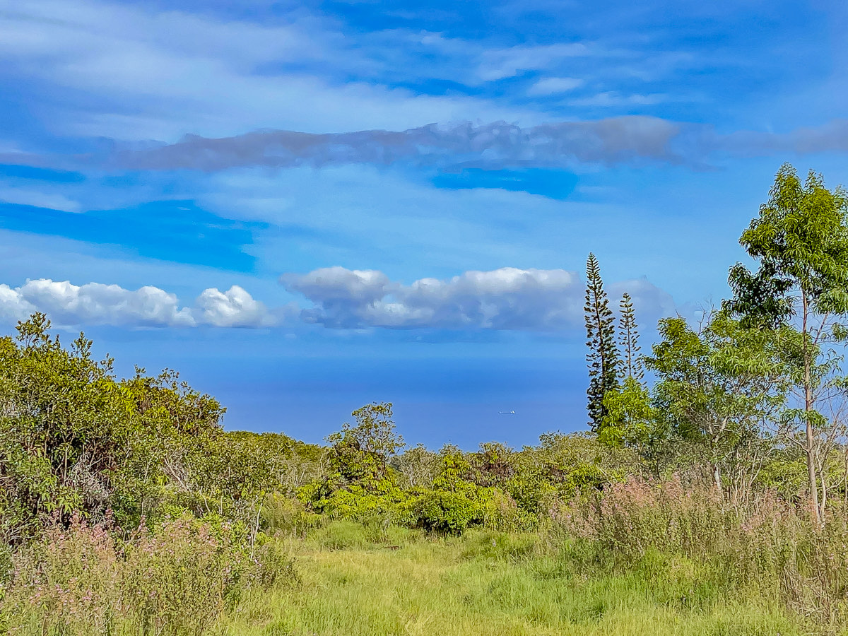 Panoramic 47.94-acre Hāmākua Coast parcel with ocean views and koa trees, Papaʻaloa