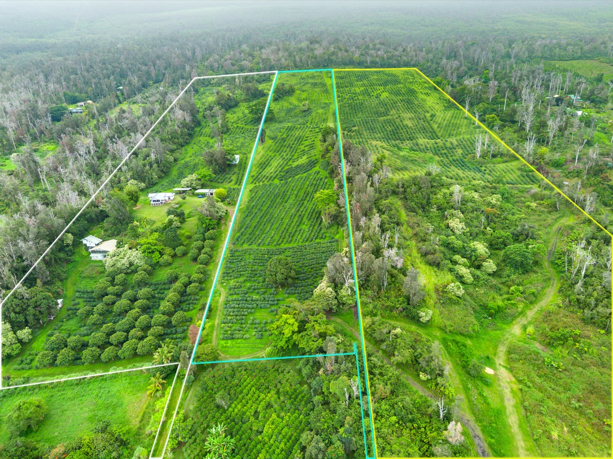 USDA-certified-organic Kona coffee farm estate on 78.64 acres in Captain Cook, South Kona