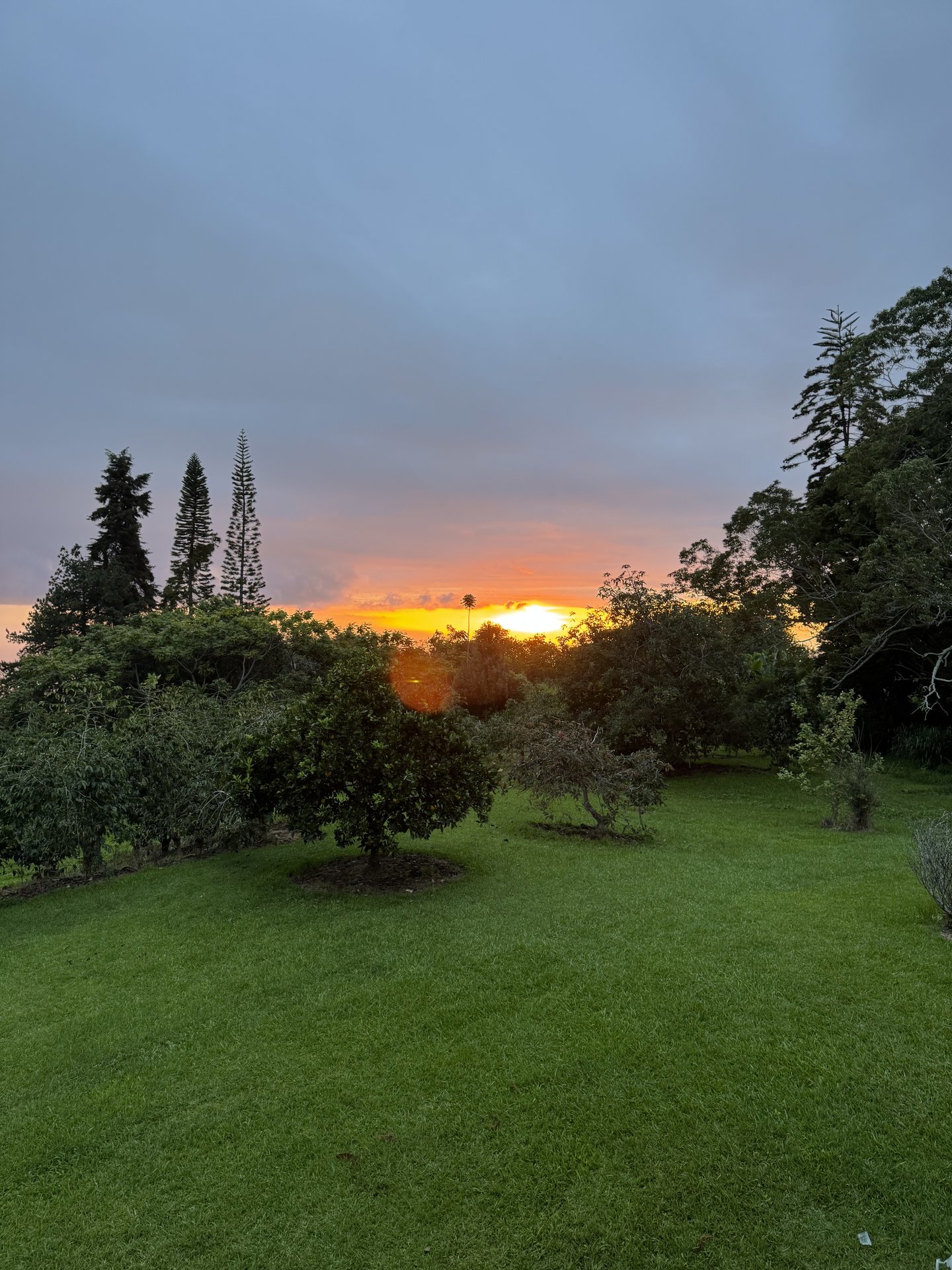 Golden sunset over Hawai'i landscape